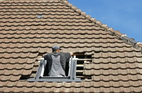 Pose de velux - Taillis